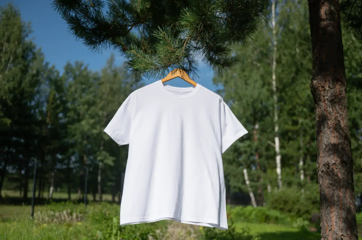 A blank tee shirt on a hangar